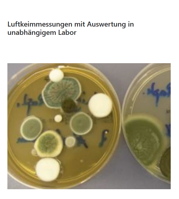 Luftkeimmessungen aus 72285 Pfalzgrafenweiler