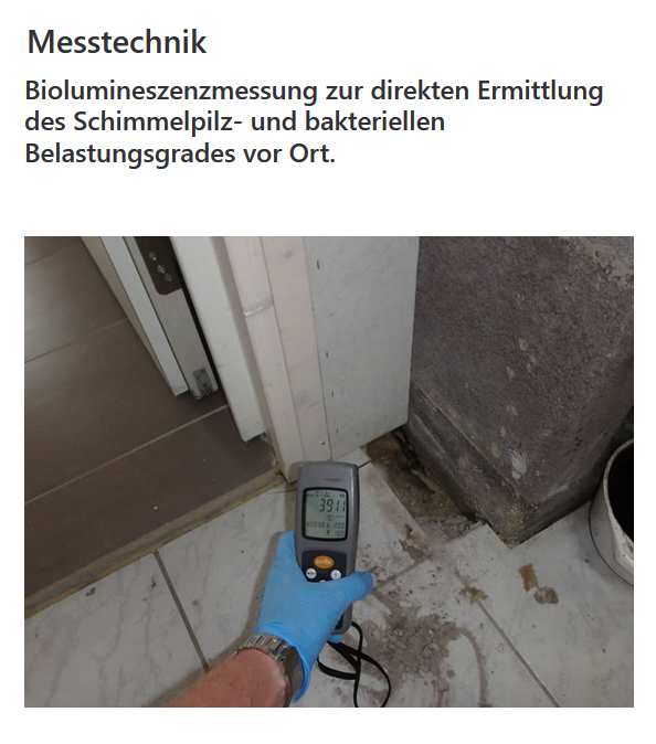 Wasserschaden Beseitigung in  Oferdingen (Reutlingen)